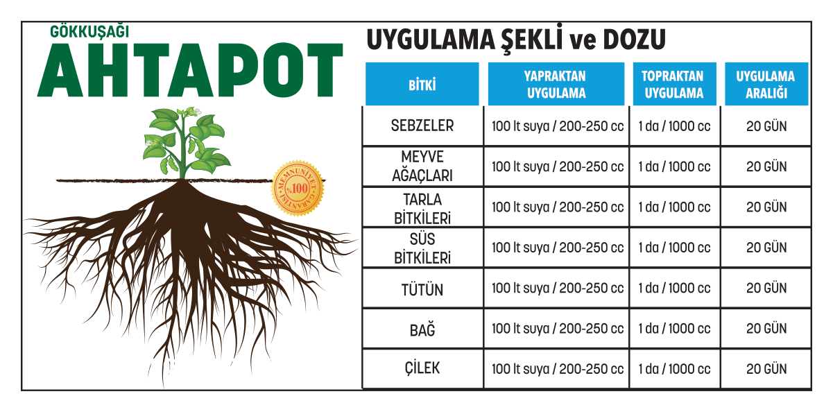 Ahtapot