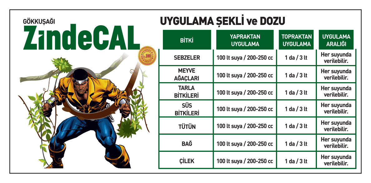 ZindeCal